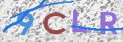 Image Anti-spam