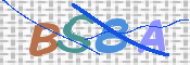 Image Anti-spam